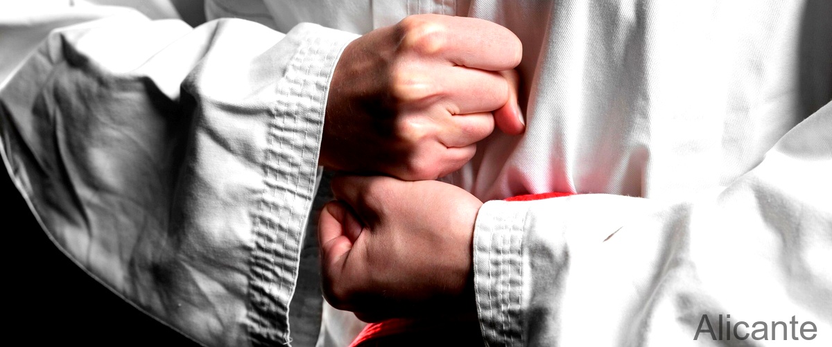 Los 20 mejores gimnasios de Judo en Alicante