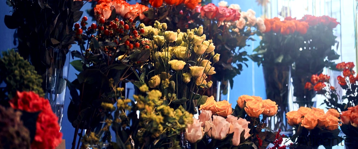 ¿Cuál es el término utilizado para referirse a la persona que vende flores en las floristerías de Alicante?