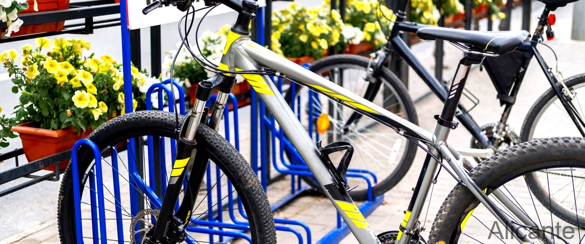 ¿Cuáles son las marcas de bicicletas disponibles en la tienda de bicicletas de Alicante?