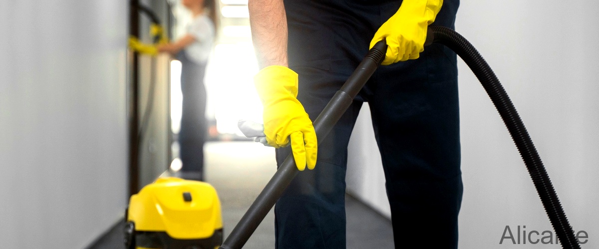 ¿Cuáles son las tareas involucradas en un trabajo de limpieza?