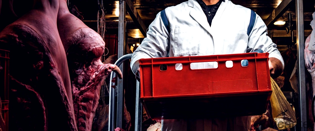 Los cortes de carne más populares en una carnicería