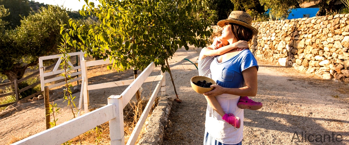 ¿Qué actividades se realizan en las granjas para ir con niños en Alicante?