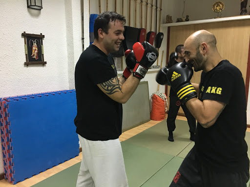 Wing Chun Wuyi - Alicante