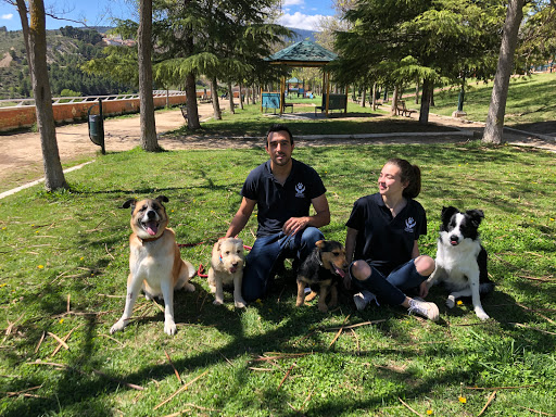 Escuela Canina NADOG