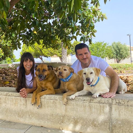 Happy Guau - Adiestramiento Canino