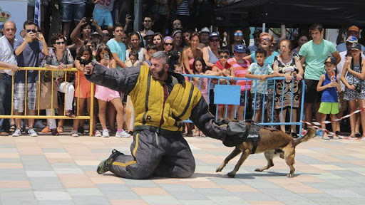 Instinto Alpha   Adiestrador Canino   Formación perros Seguridad Elche