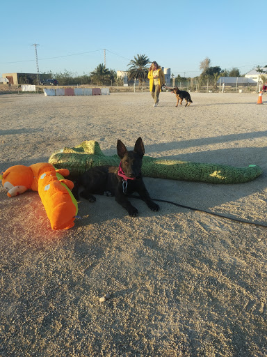 Dirty and Happy. Centro canino